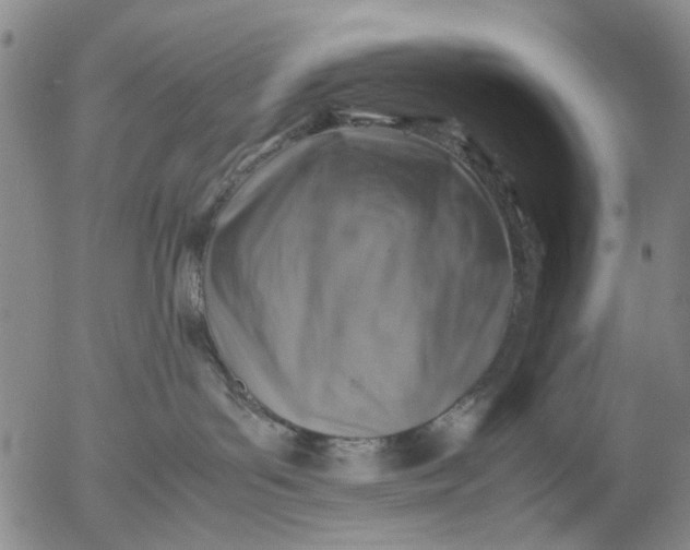 X0000053050143200508011857