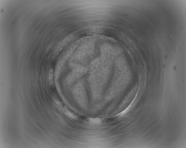 X0000053050144200508011857