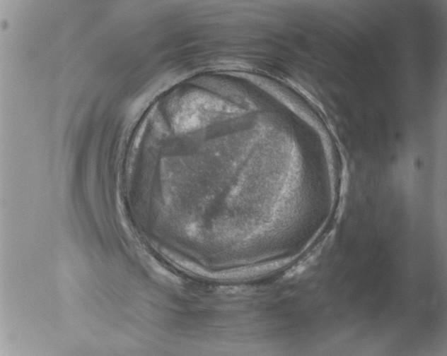 X0000053050145200508011857