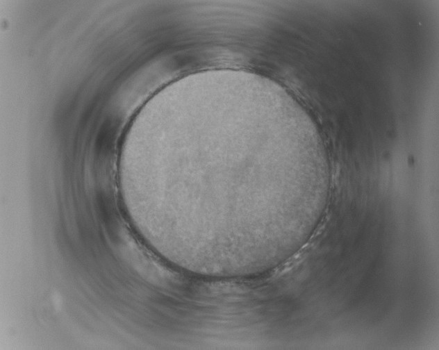 X0000053050146200508011857