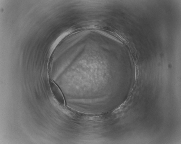 X0000053050147200508011857