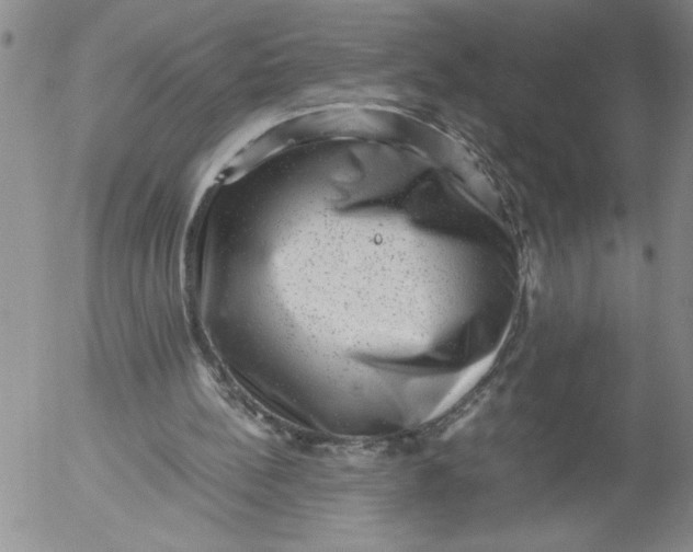 X0000053050148200508011857