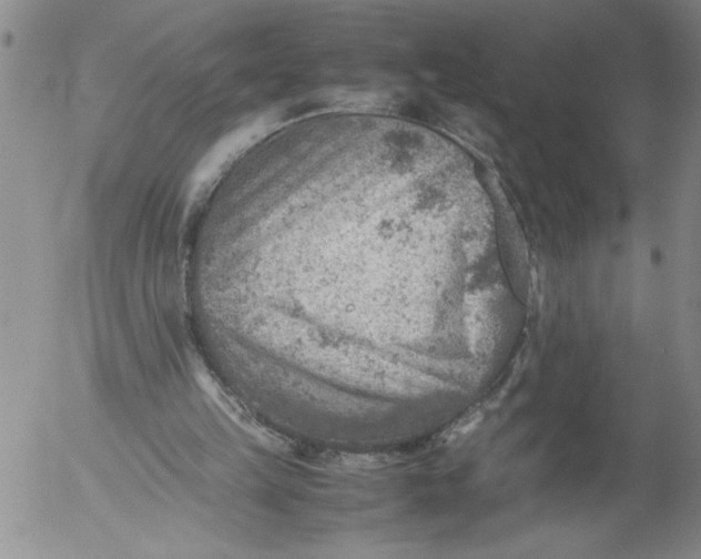 X0000053050149200508011857