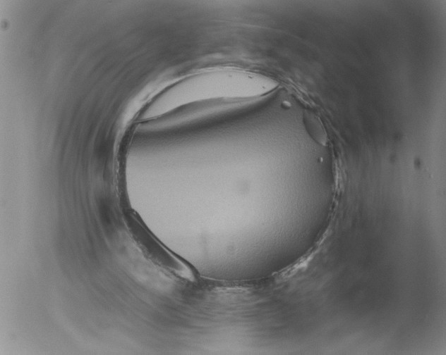 X0000053050150200508011857