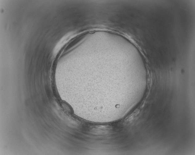 X0000053050151200508011857