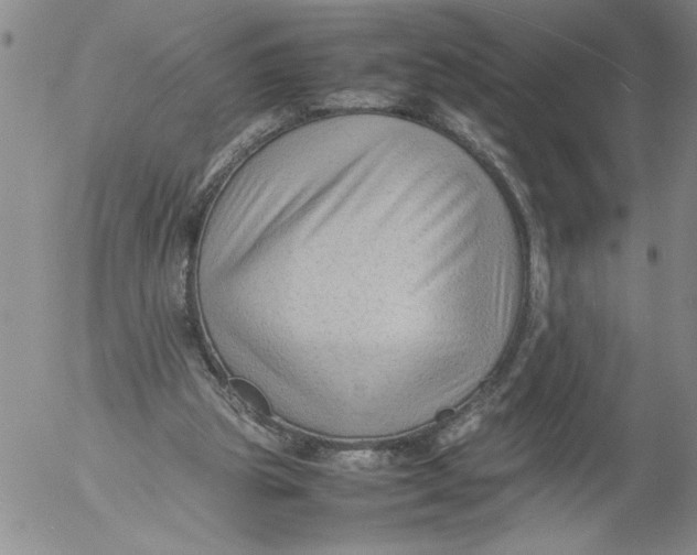 X0000053050153200508011857