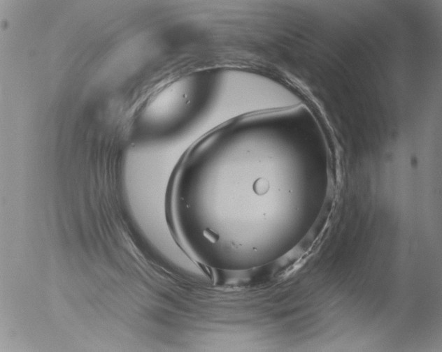 X0000053050154200508011857