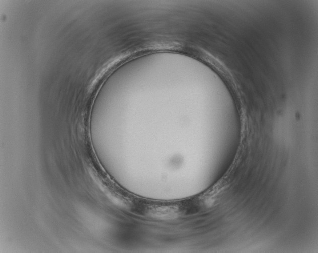 X0000053050155200508011857