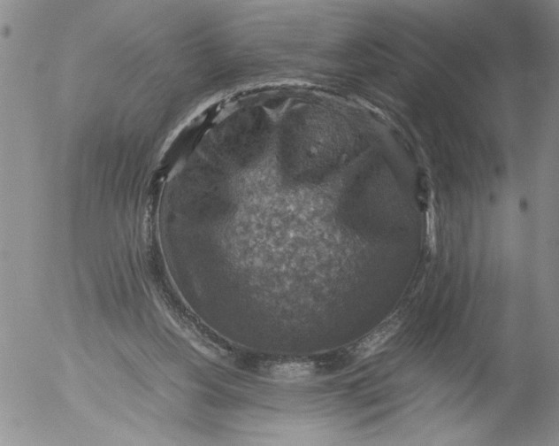 X0000053050156200508011857