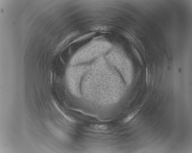 X0000053050157200508011857