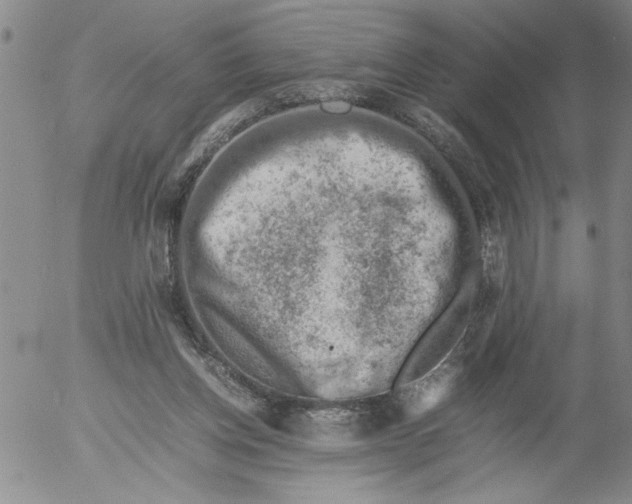 X0000053050158200508011857