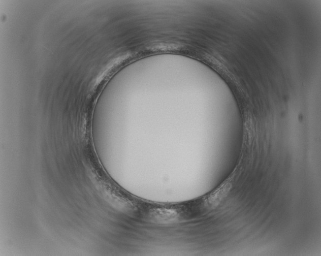 X0000053050159200508011857