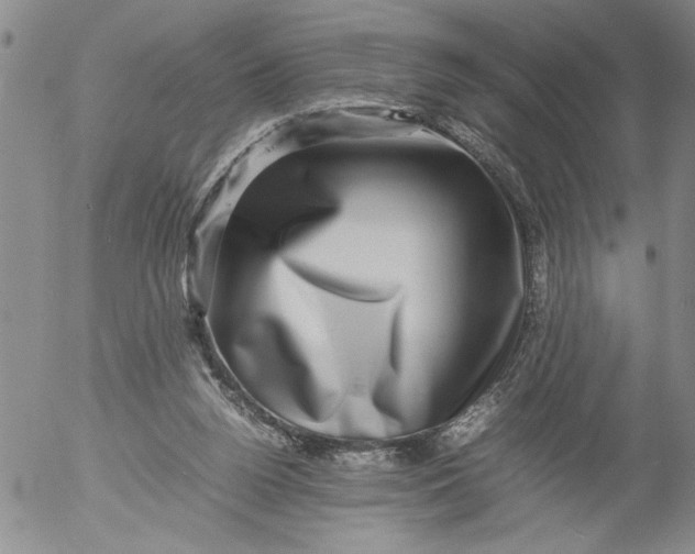 X0000053050160200508011857