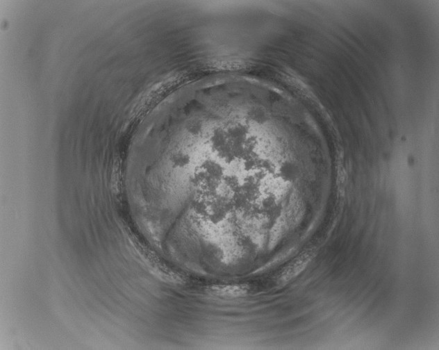 X0000053050161200508011857