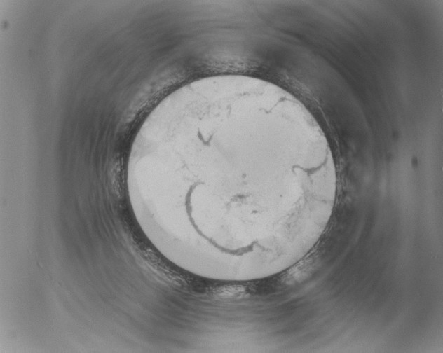 X0000053050162200508011857