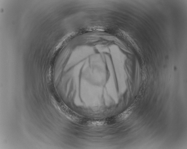 X0000053050163200508011857