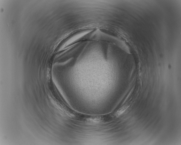 X0000053050164200508011857