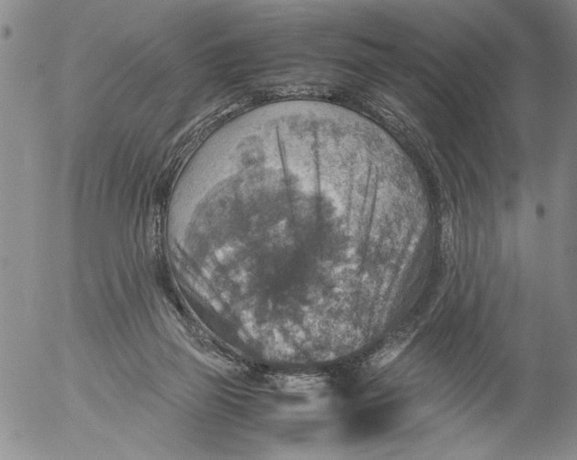 X0000053050165200508011857