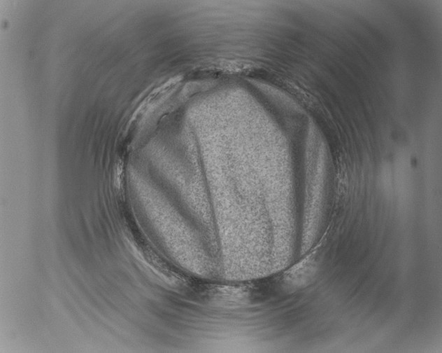 X0000053050166200508011857