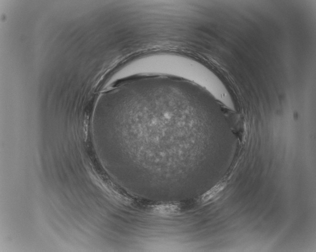 X0000053050168200508011857