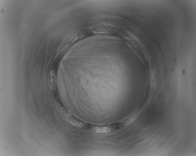 X0000053050169200508011857