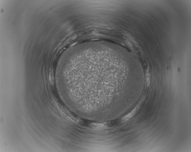 X0000053050170200508011857