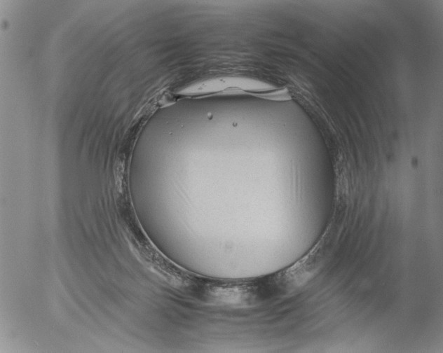 X0000053050171200508011857