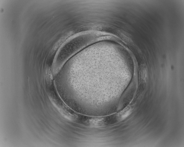 X0000053050172200508011857