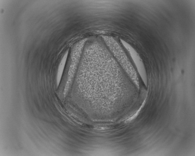 X0000053050174200508011857