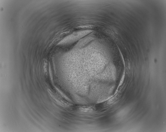 X0000053050175200508011857