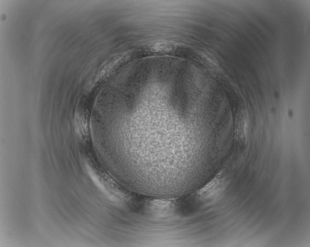 X0000053050176200508011857