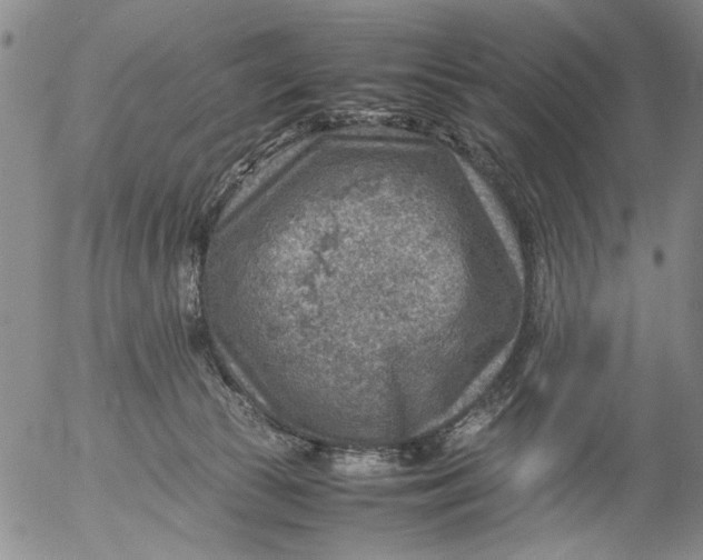 X0000053050177200508011857