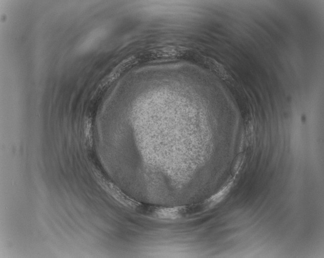 X0000053050178200508011857