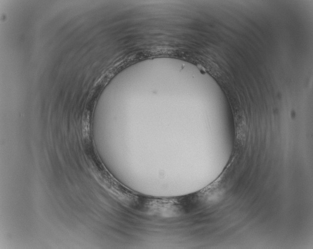 X0000053050179200508011857