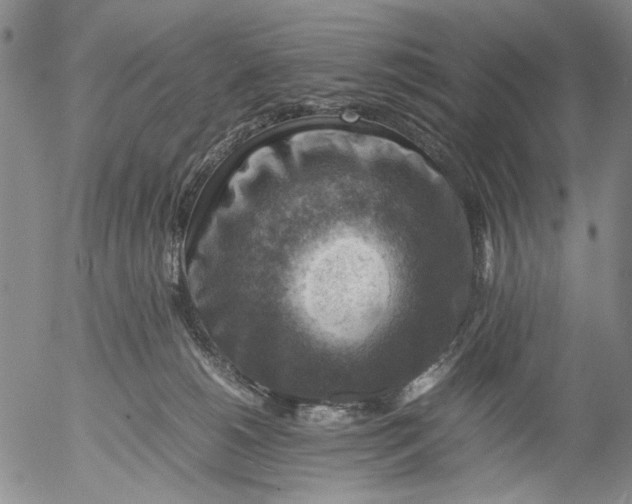 X0000053050180200508011857