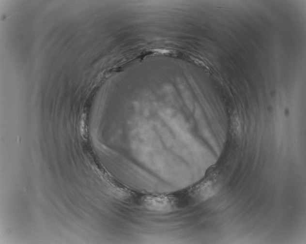 X0000053050181200508011857