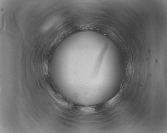 X0000053050183200508011857