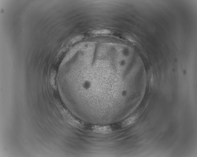 X0000053050185200508011857