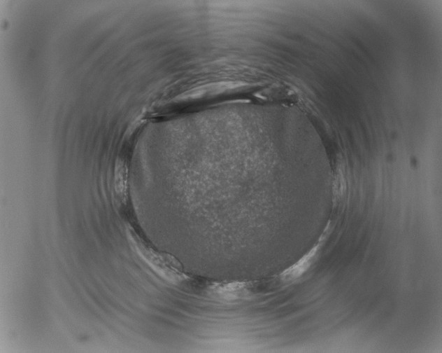 X0000053050186200508011857