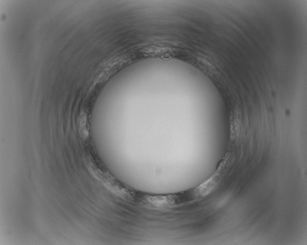 X0000053050187200508011857