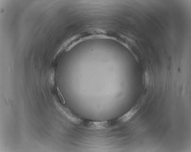 X0000053050188200508011857