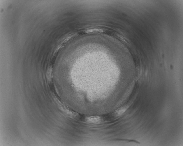 X0000053050189200508011857