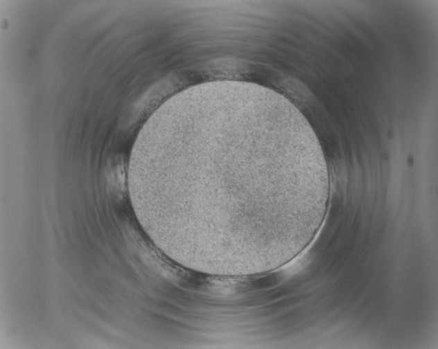 X0000053050190200508011857