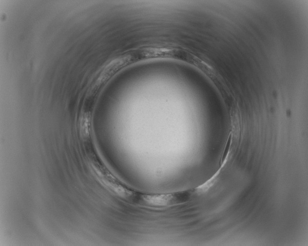 X0000053050191200508011857