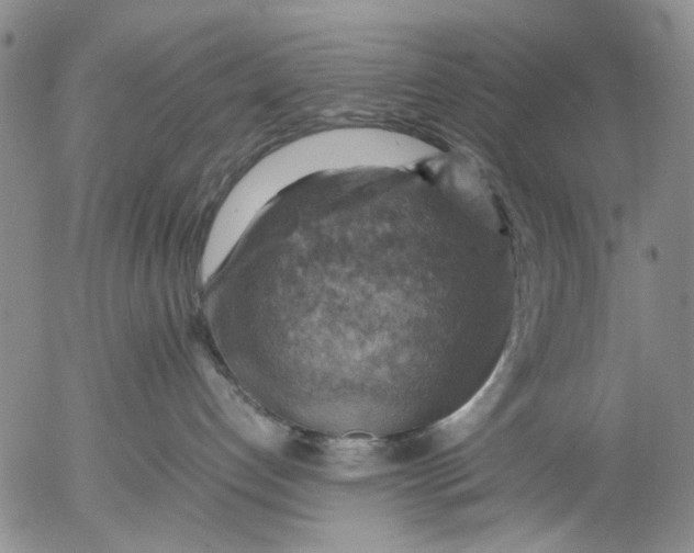 X0000053050192200508011857