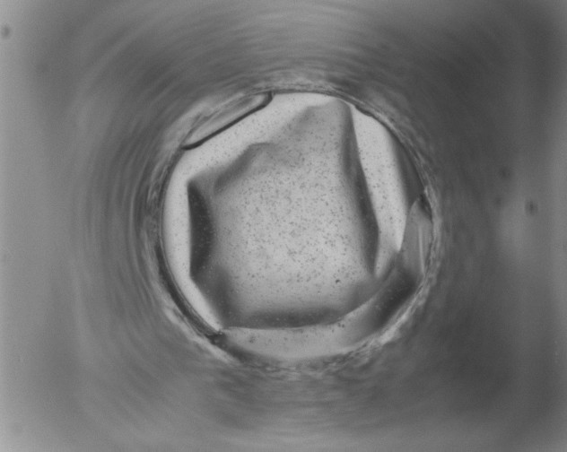 X0000053050193200508011857