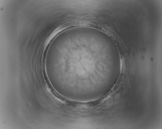 X0000053050195200508011857