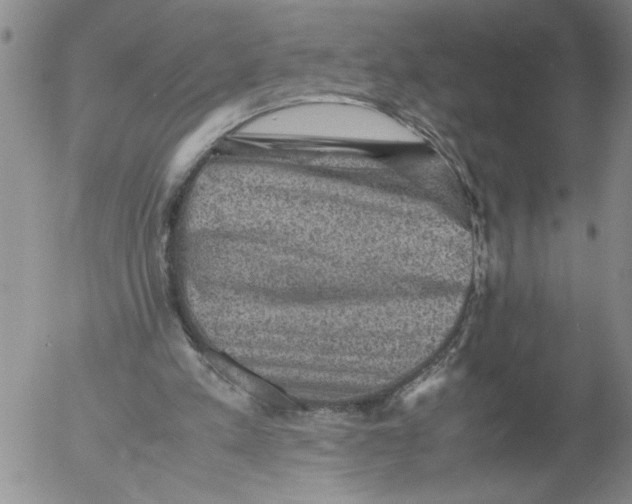 X0000053050197200508011857