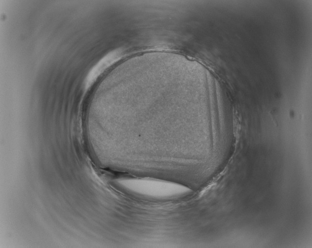 X0000053050198200508011857