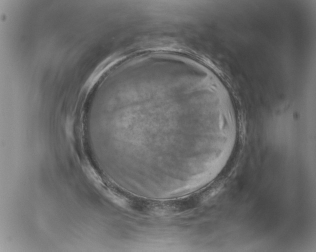 X0000053050199200508011857